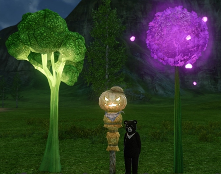 ▲「ダルコリの木」(左)と「ダルニウムの花」(右)