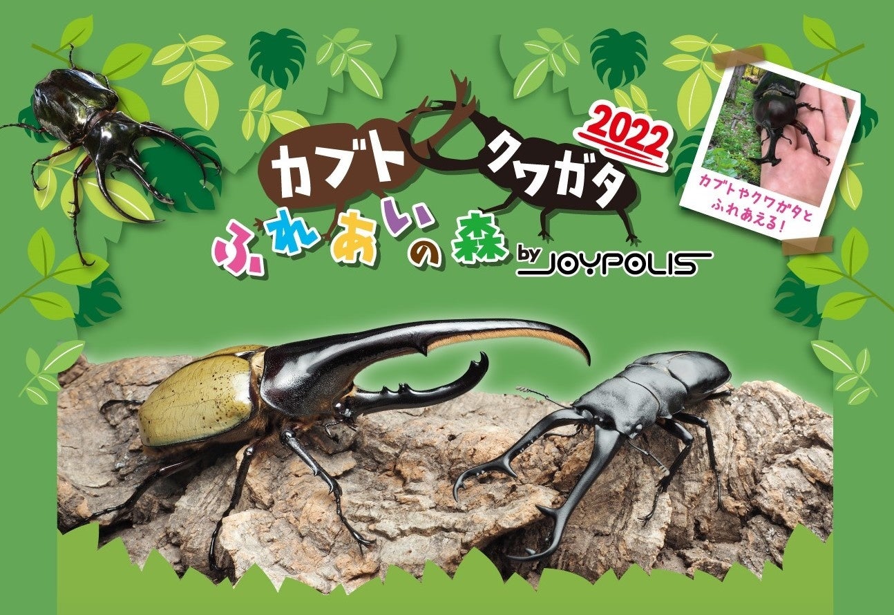 『シャインポスト』TINGSメンバーたちの姿映える「フルグラフィックTシャツ」など新グッズ8種が二次元コスパから登場!8/18~予約受付開始【株式会社コスパ】