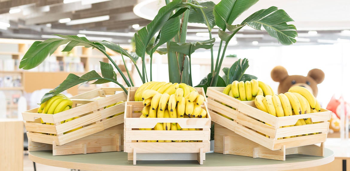 【コロプラ】オフィスでバナナが食べ放題「無限バナナ」の運用を開始