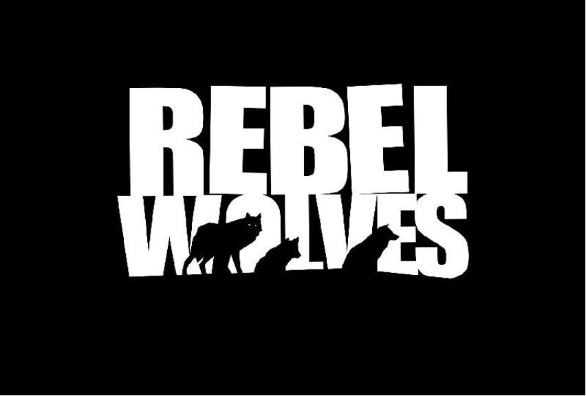 NetEase GamesによるポーランドのゲームスタジオRebel Wolvesへの戦略的投資に関するお知らせ