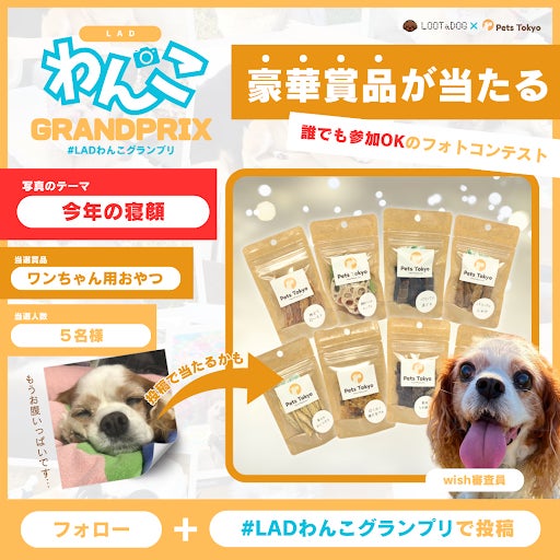 2024年の思い出を大募集！愛犬のフォトコンテスト「第7回LADわんこグランプリ」をInstagramで開催！