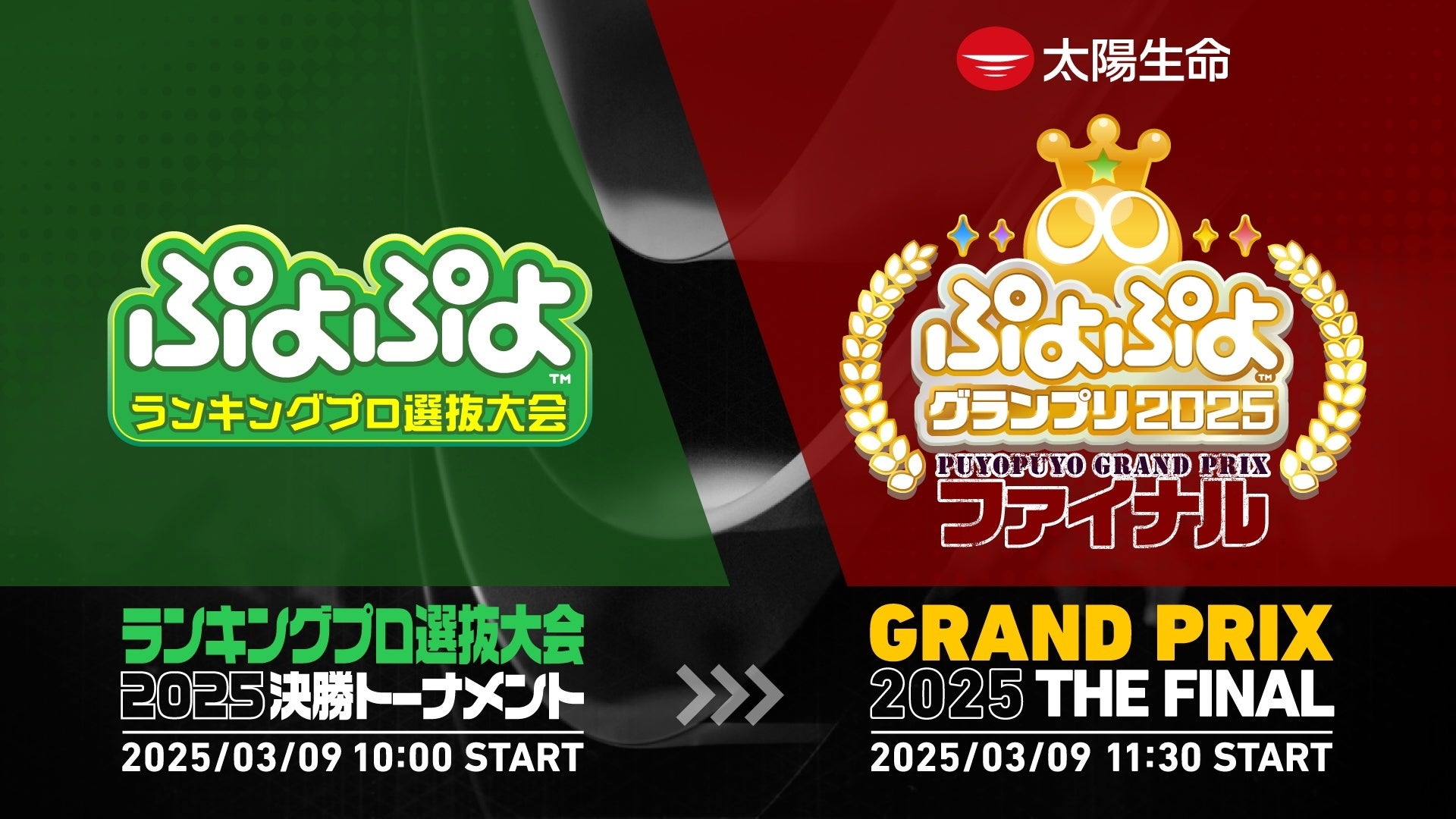 3月9日（日）セガ本社にて開催！セガ公式大会「太陽生命 ぷよぷよグランプリ 2025 ファイナル」インターネットライブ配信情報を公開！開催記念のプレゼントキャンペーンも実施決定！