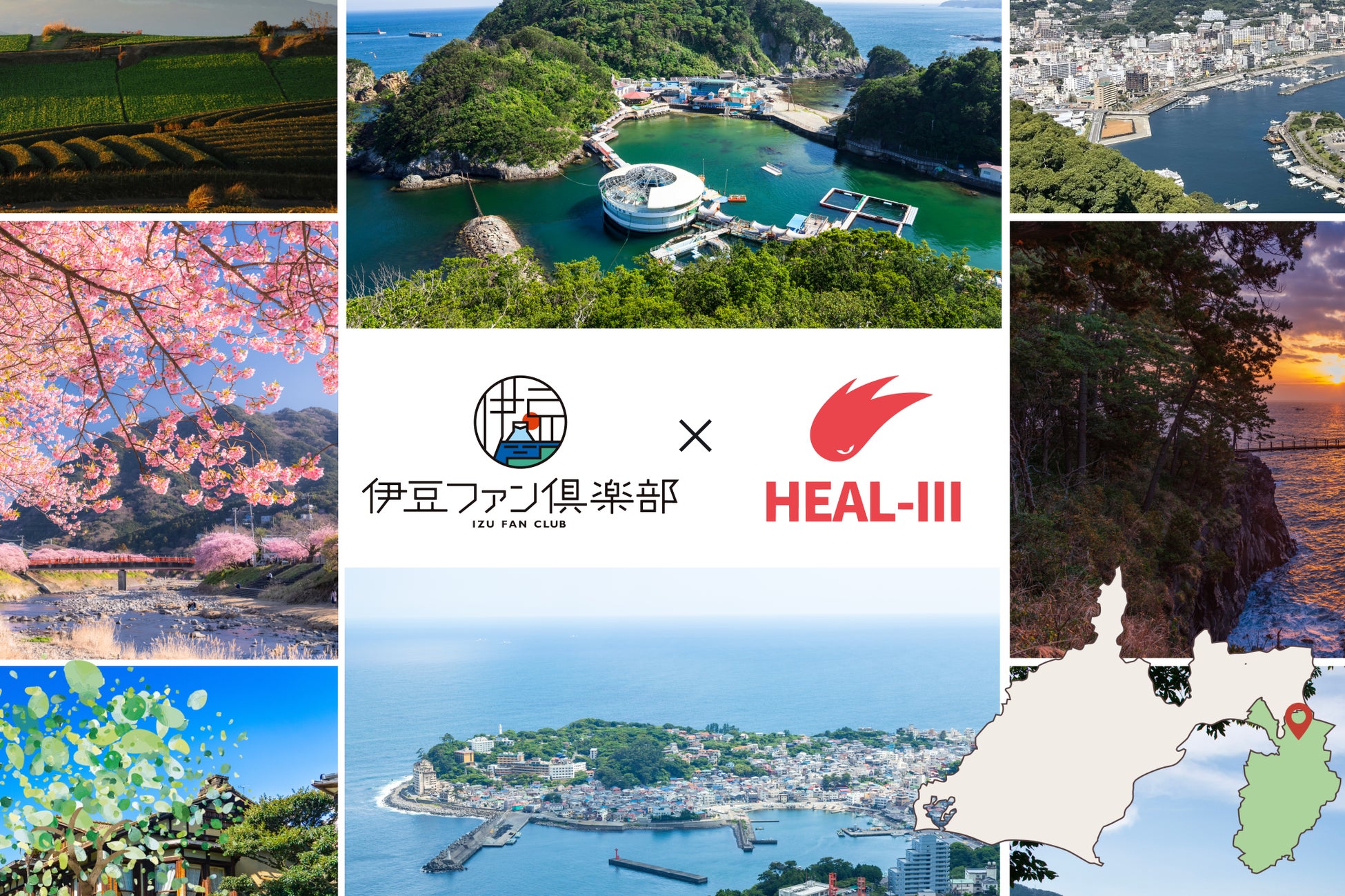 韓国でブーム再燃！！『なめこ栽培キット』ポップアップストアがソウル弘大で12月5日より開催決定！