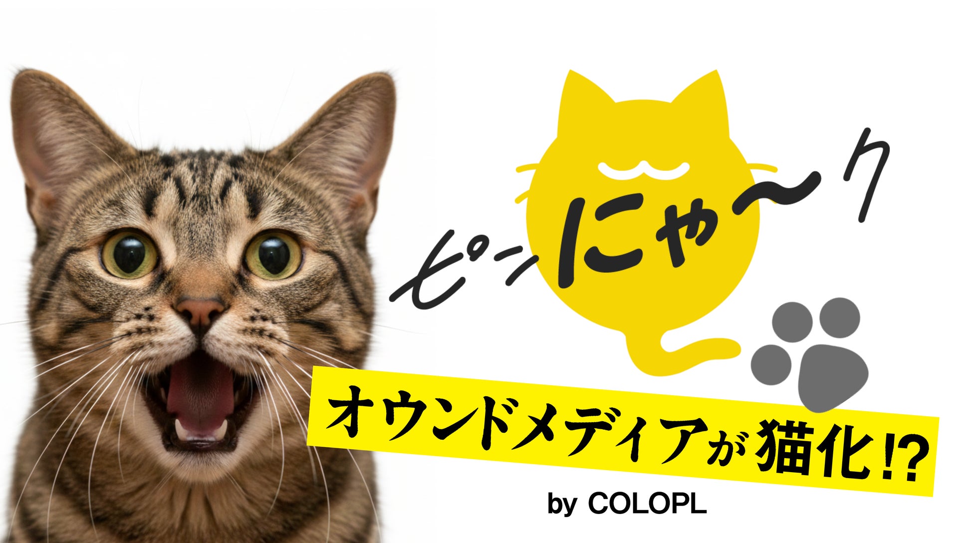 【コロプラ】2月22日「猫の日」に向けて、オウンドメディアが猫ジャック！期間限定で『ピンにゃ〜ク』に！