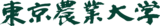 『キングダム 乱 -天下統一への道-』LGパム・LG英紀が登場！『白銀の烈』開催中！